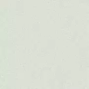 Thumb_0080206_a_wp_1