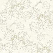 Thumb_0080301_a_wp_1