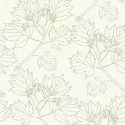 Thumb_0080301_a_wp_1