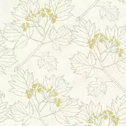 Thumb_0080302_a_wp_1