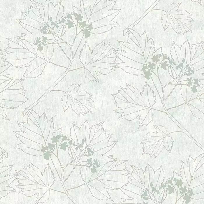 Big_0080303_a_wp_1