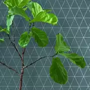 Thumb_img_2374