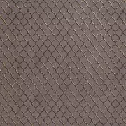 Thumb_81407_1
