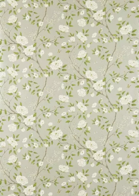 Big_311333_1