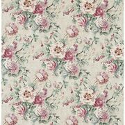 Thumb_223981_1