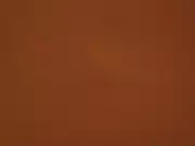 Thumb_2211_95_1