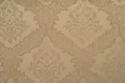 Thumb_3961_30_1