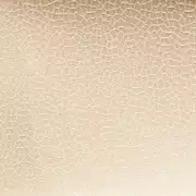Thumb_2_aur_u_1