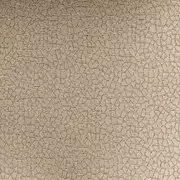 Thumb_8_aur_u_1