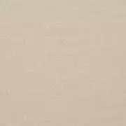 Thumb_f0706_03_1