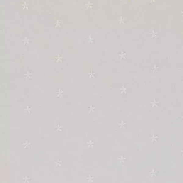 Big_f0600_01_1